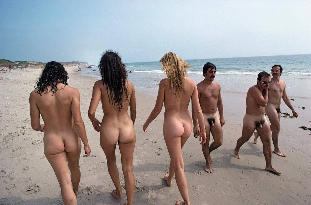 Nudist beach photo in the Gallery gallery